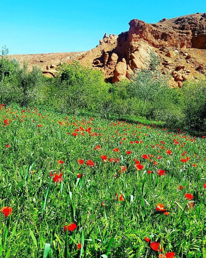 Auberge Kasbah Ait Marghad Tamellalt  외부 사진